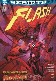 FLASH 6