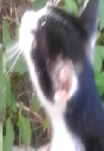 Das hungrige Schneewittchen