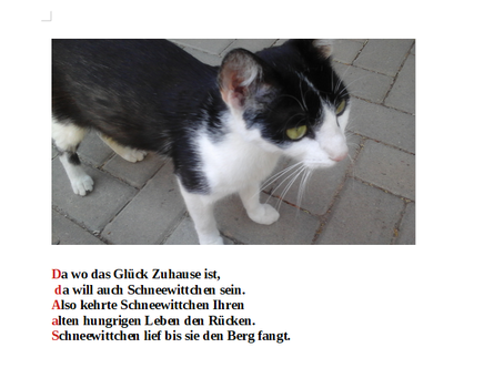 Das hungrige Schneewittchen