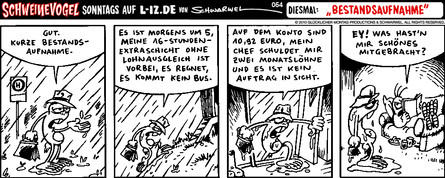 Schweinevogel 054 "Bestandsaufnahme"