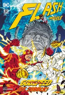 Flash 12