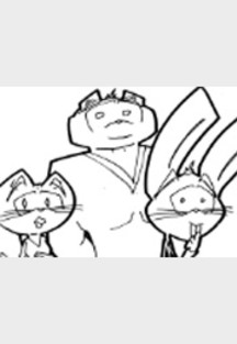 Katze Hase Bär - das Jahr 2010