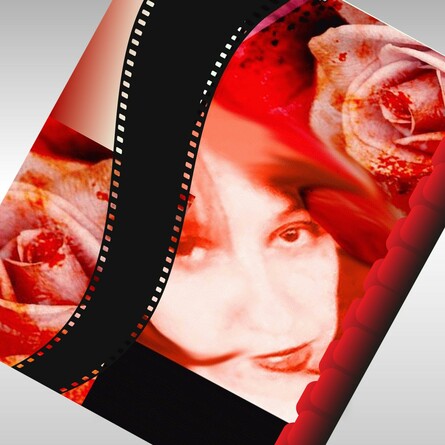 Cover Rosenzweig des Schicksal