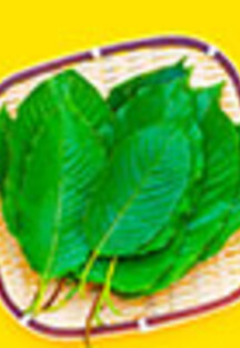 kratom.org - The Most Trusted Kratom Resource