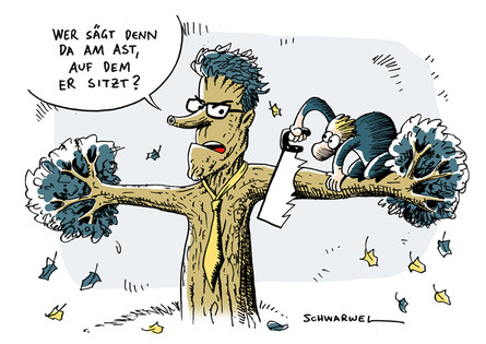 FDP-Kritik an Westerwelle