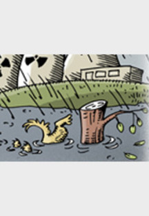 Wetter und Atomstreit