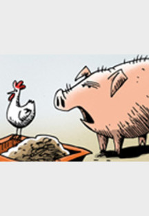 Verseuchte Fette schon seit Monaten im Futter