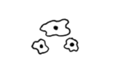 Amöben-Porno