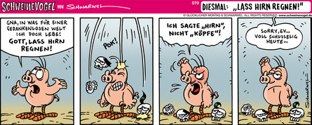 Schweinevogel Short Novel 070 "Lass Hirn regnen"