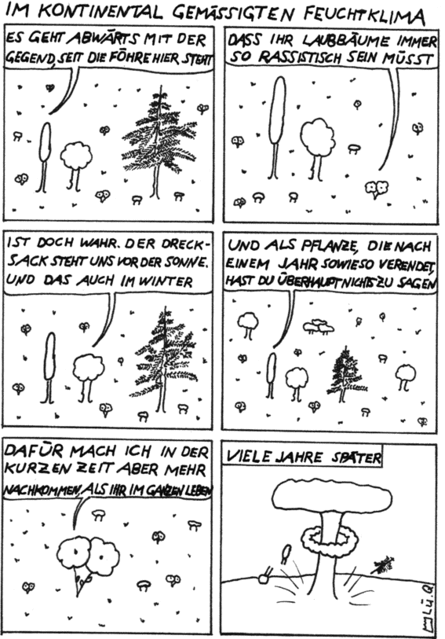 Im kontinental gemässigten Feuchtklima
