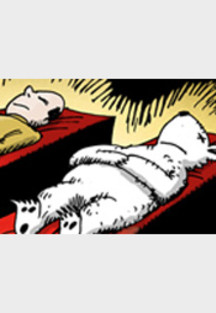 Eisbär Knut wird ausgestopft