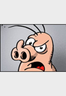 Schweinevogel Eigentlich