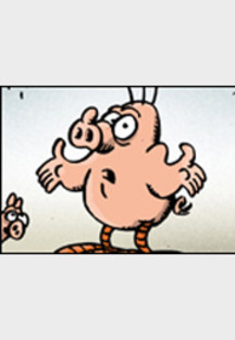 Schweinevogel So ganz allgemein