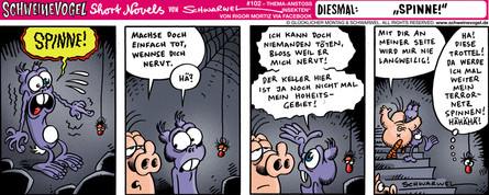 Schweinevogel Spinne