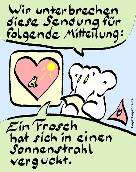 LL-Froschperpektive 003 Blitznews