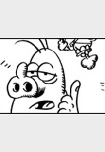 Schweinevogel Überflugverbot