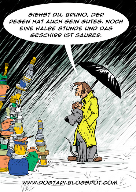 Spülregen