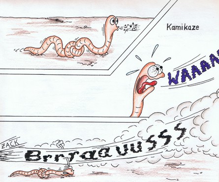 Rudi der Regenwurm - Kamikaze
