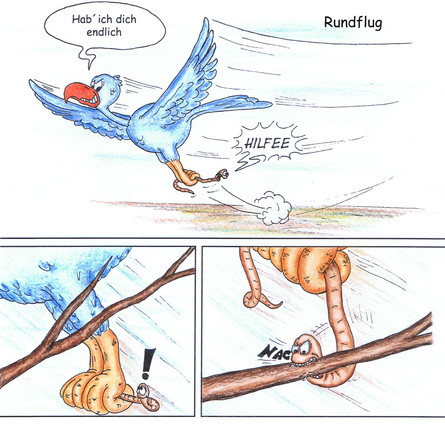 Rudi der Regenwurm - Rundflug