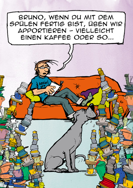 Spülmaschine 2.0