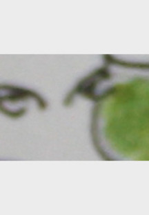 Der letzte Bulle