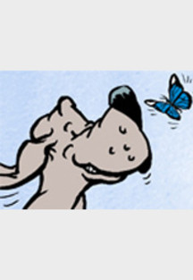 Hunde Frühling