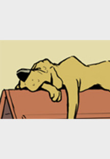 Hundeschule Teil 2