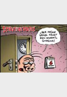 Schweinevogel Nikolaus