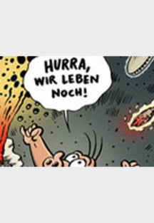 Schweinevogel Cartoon 2013