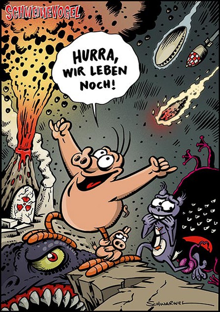 Schweinevogel Cartoon 2013