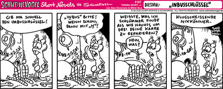 Schweinevogel Short Novel 187 "Inbusschlüssel"