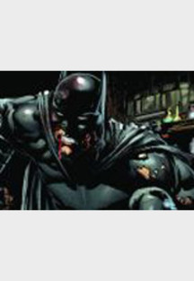 Batman - The Dark Knight 13