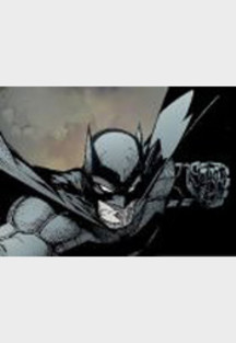 Batman Paperback 1: Der Rat der Eulen