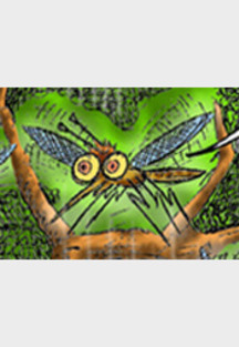 Vorsicht, Natur!! - 1: An der Stierberger Gemsenwand