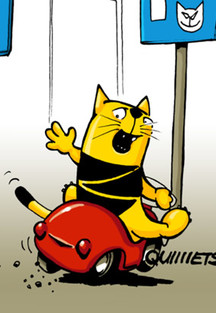 Katze